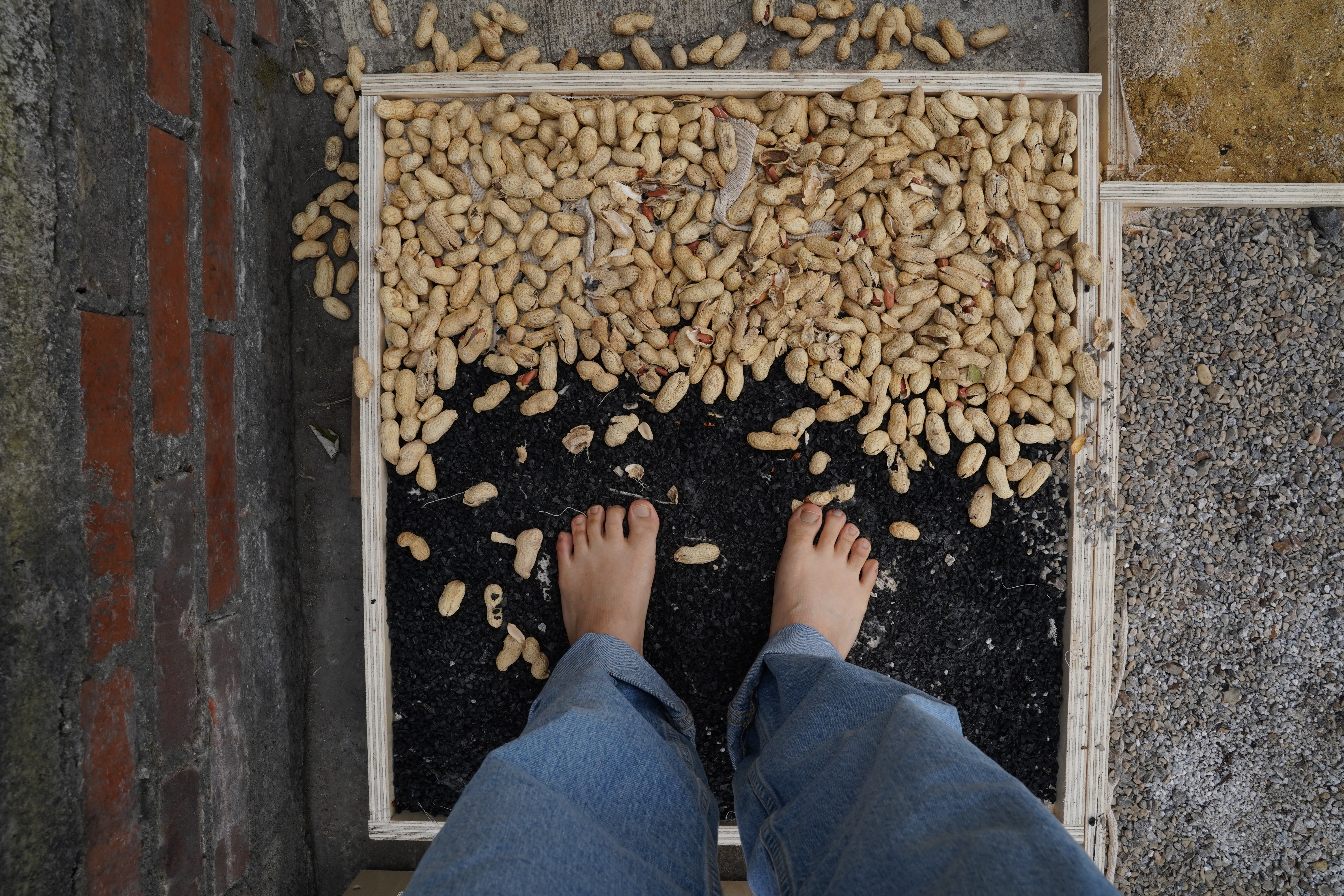 Bare feet standing on peanuts material box